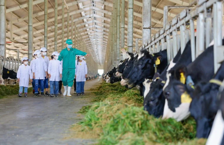 Triển khai Đề án “Đẩy mạnh hoạt động Khoa học và Công nghệ ngành chăn nuôi đến năm 2030”