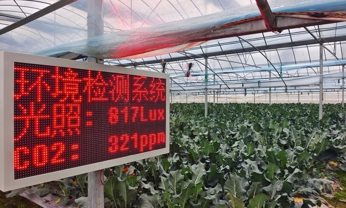 Nông nghiệp Trung Quốc ‘lột xác’ nhờ công nghệ thông minh
